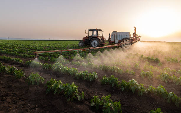 Best Mosquito Control Services  in Bel Nor, MO