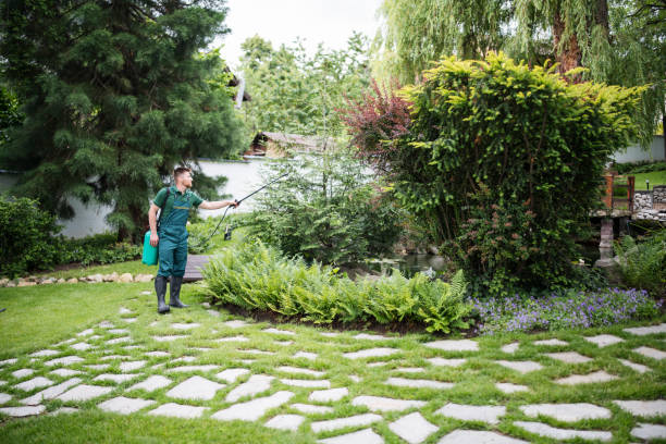 Reliable Bel Nor, MO Pest Control Solutions