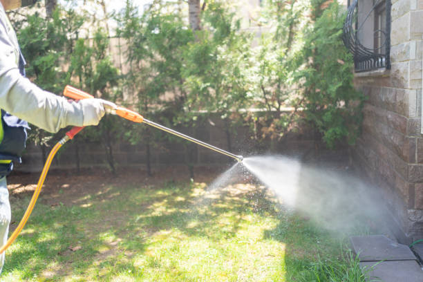 Best Insect Control  in Bel Nor, MO