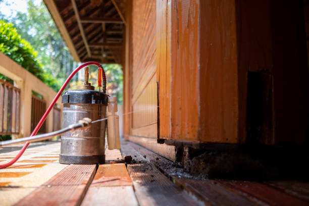 Best Pest Removal Services  in Bel Nor, MO